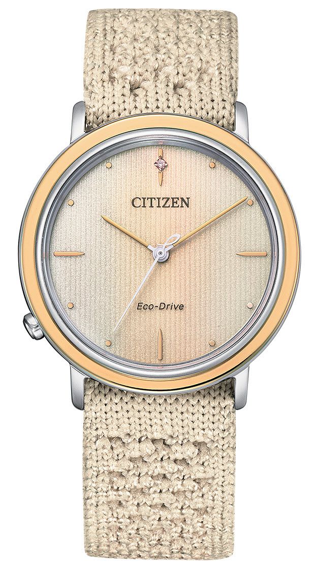 Citizen eco drive discount mesh ladies watch