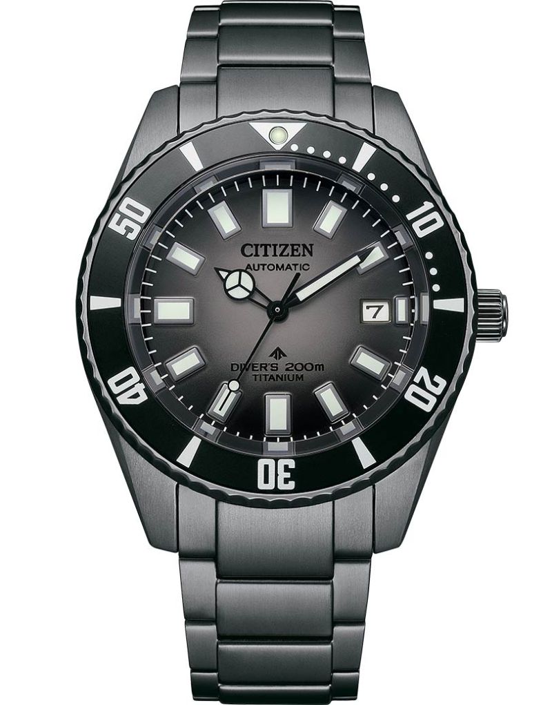 Citizen promaster titanium watch clearance