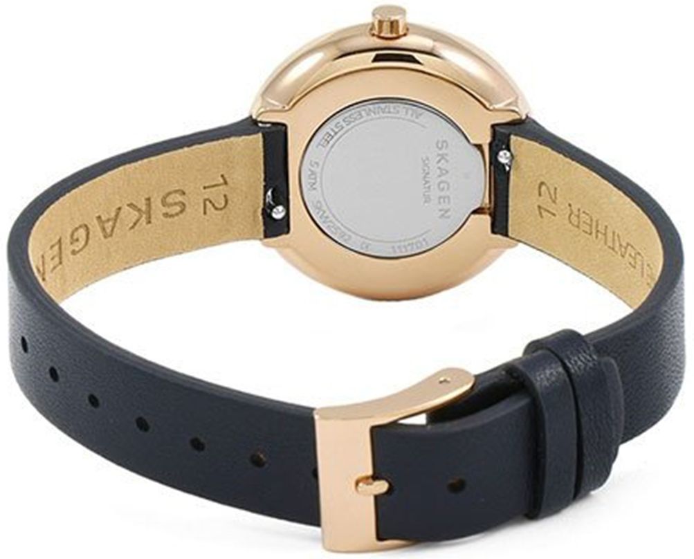 Skagen skw2592 online