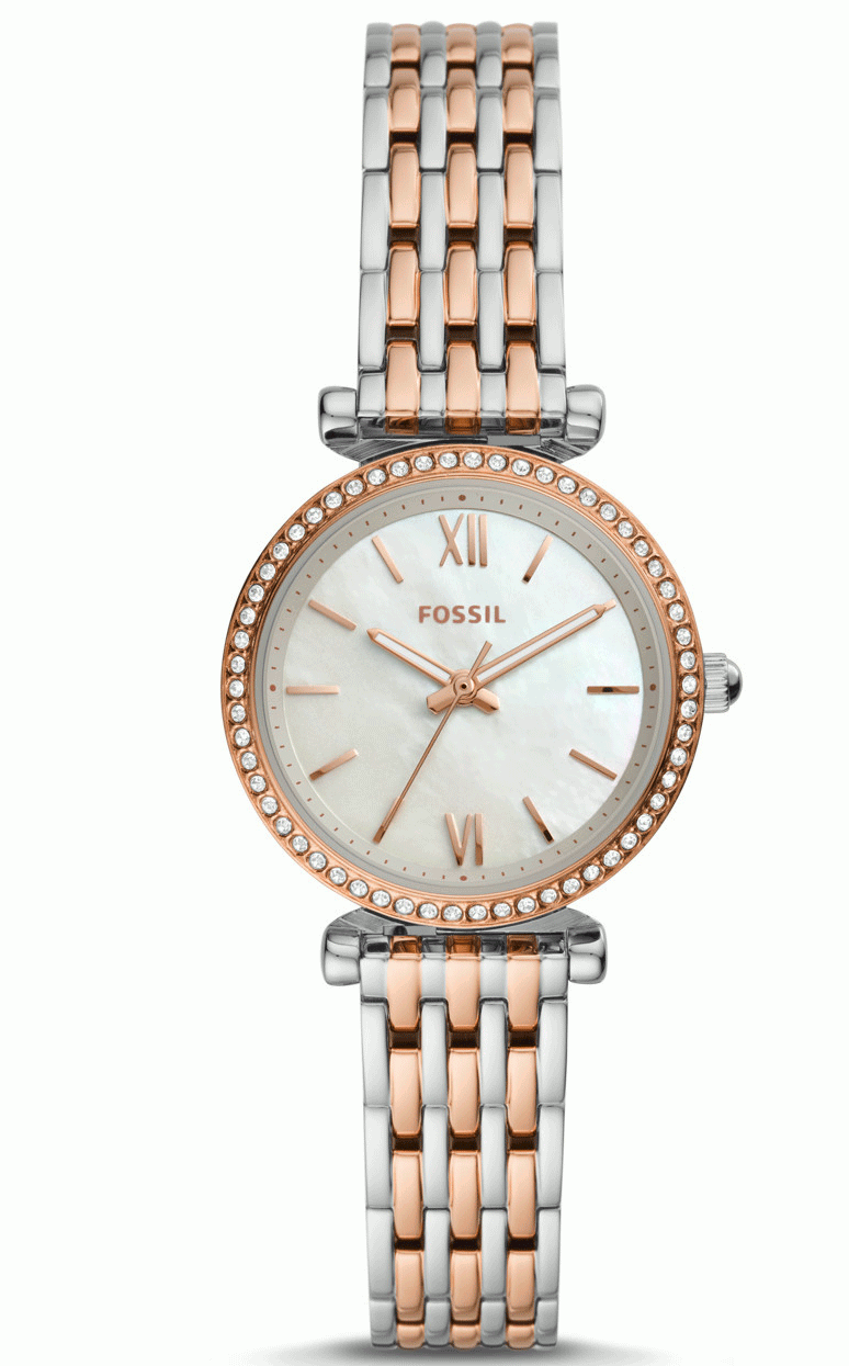Es4649 fossil online