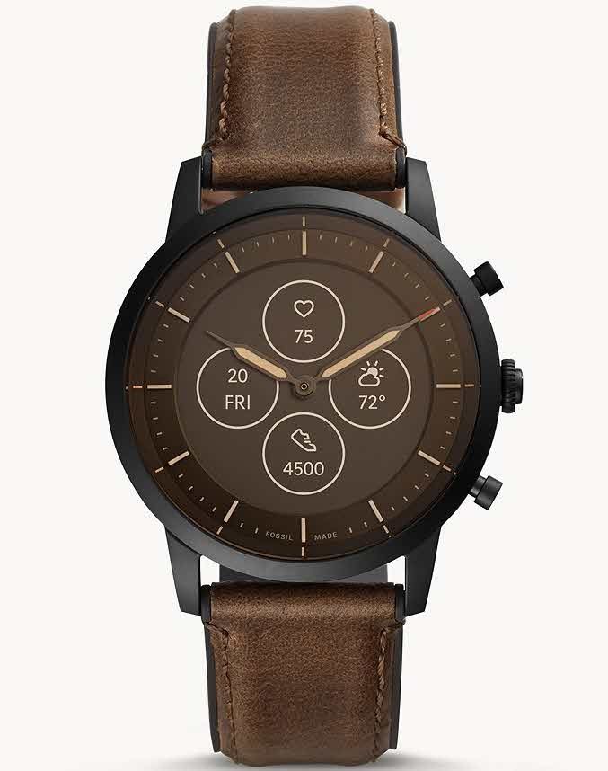 dewitt academia skeleton