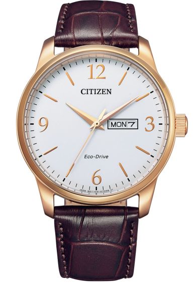 Solar Classic AW1753-10A Quartz Citizen AW1753-10A